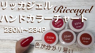 【リッカジェル】ハンドカラーチャート　　　230M〜234PS