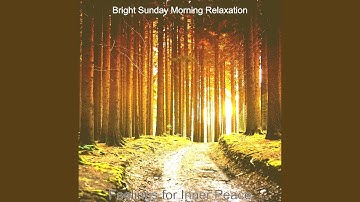 Vivacious Backdrops for Deep Peace