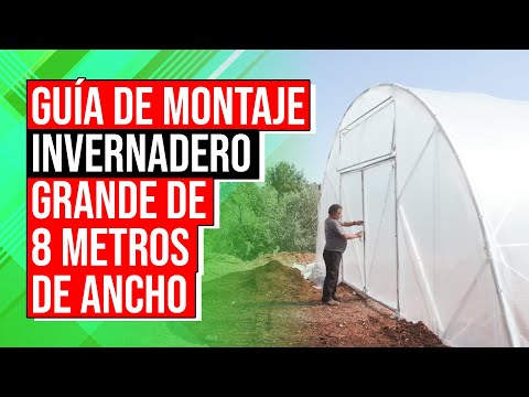 🎬 Video relacionado con invernaderos grandes