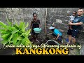 MAGPAPARAMI TAYO NG KANGKONG SA EKUKU, PUERTO BATA, EQUATORIAL GUINEA