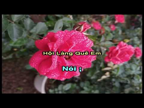 Karaoke Hát Chèo _ Hội Làng Quê Em _ SL ; Dương Đức Nghiêm ( Điệu Đào Liễu ,Luyện Năm Cung )