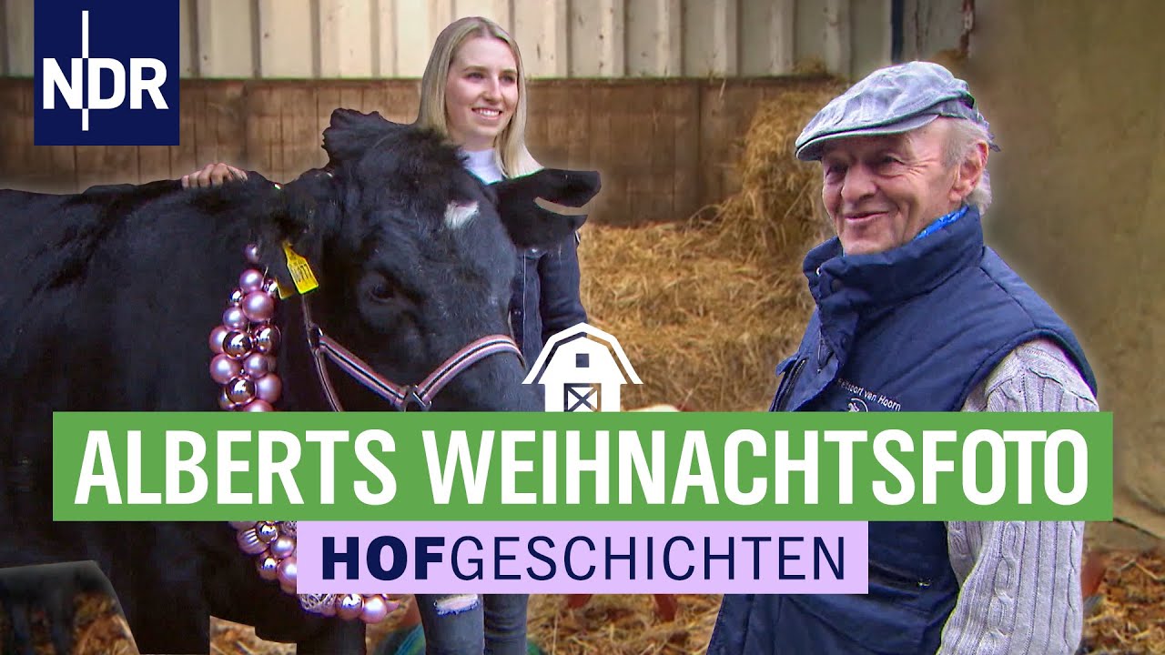 Weihnachtsvorbereitungen & Bäumerücken mit dem Kaltblut | Hofgeschichten (158) | NDR auf’m Land
