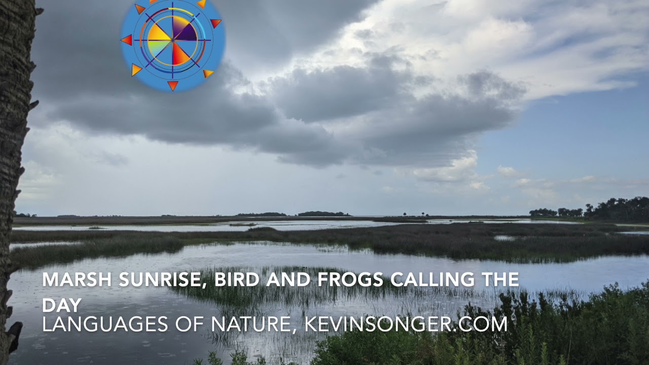 Languages of Nature, Marsh Wildlife Calling the Sunrise