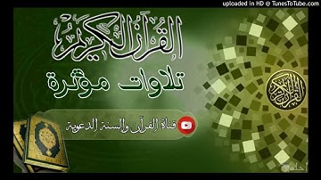 ما تيسر من سورة البقرة / بصوت الأخ عبدالرحمن البكالي حفظه الله / ليلة 2 رمضان 1442 هجري