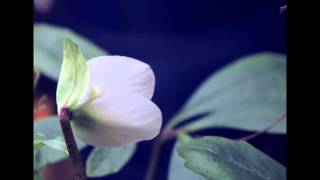 Doris Kareva Mu Truudus On Ruudus