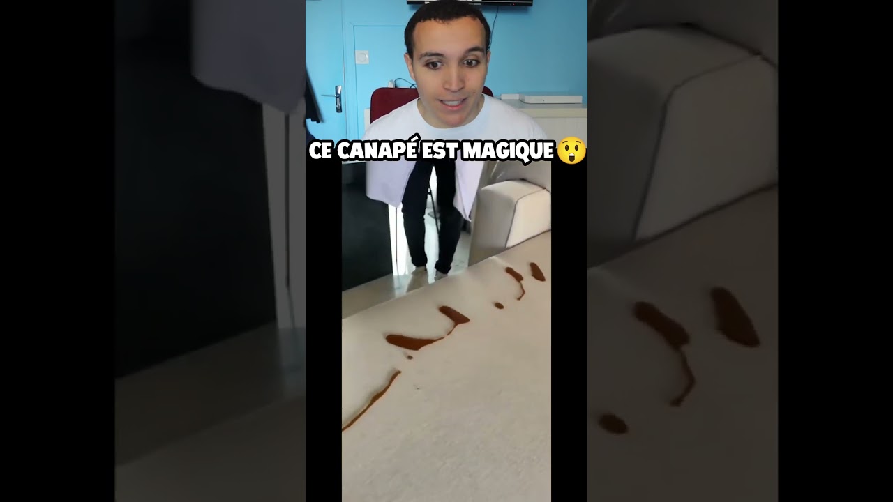 Ce Canapé Est Extraordinaire !