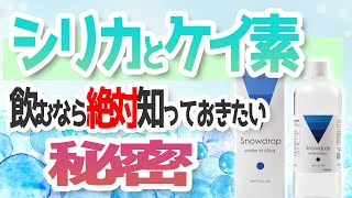 「飲むシリカ」とケイ素で濃度と成分の比較をしたら驚きの事実が・・・