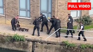 Met Police Shoot Two Dogs Full Video - Millions and Marshall - UK Met Police Dog Killers