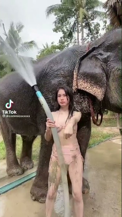 Thai Teen likes getting wet and nasty with big black Elephant ....
