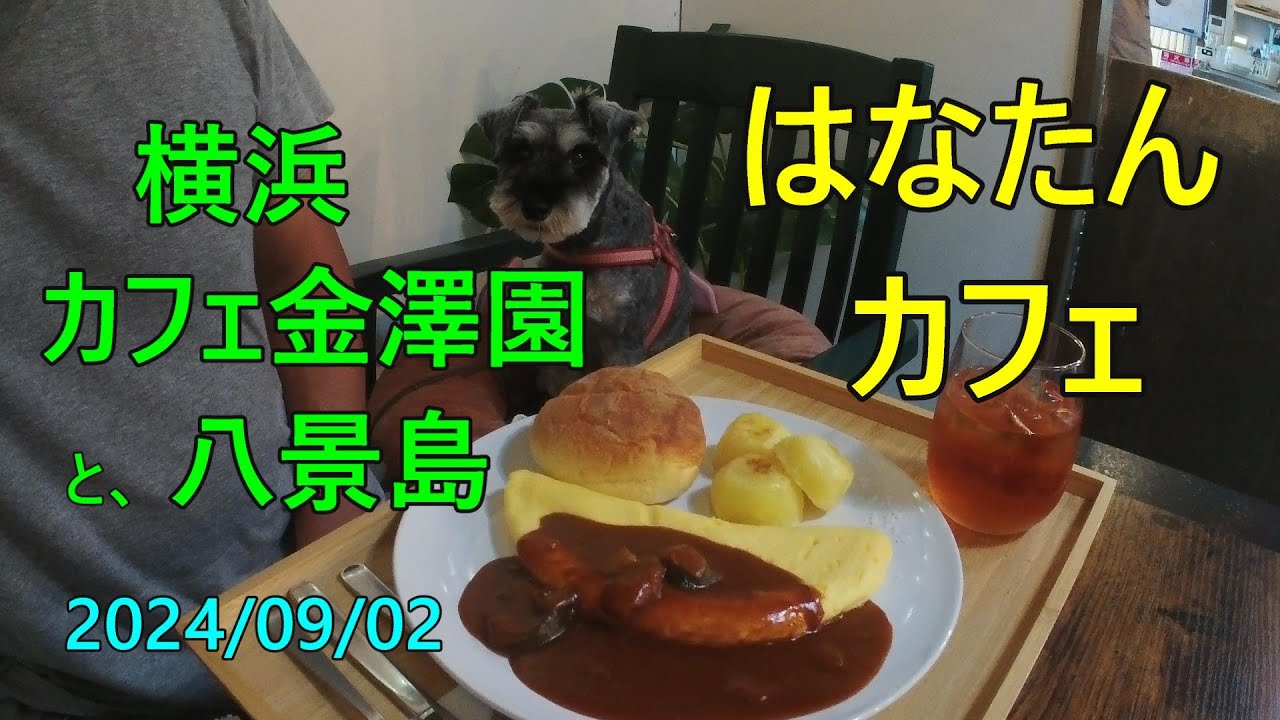 横浜 八景島、カフェ金澤園
