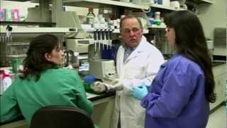 The Integrated Research Facility at NIAID's Rocky Mountain Laboratories