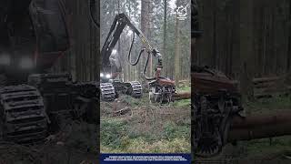 Smart Tree Harvesting Machine Innovation for High - Speed Timber Processing