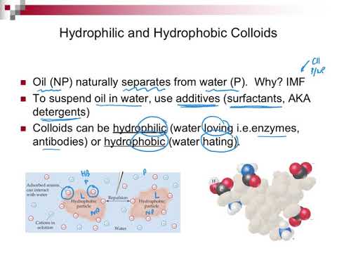 13.6 कोलाइड्स की हाइड्रोफोबिक और हाइड्रोफिलिक प्रकृति