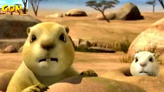 Kelinci Kecil Dan Hewan Kecil Lainnya Mencari Ibu Baru Bersama Gon