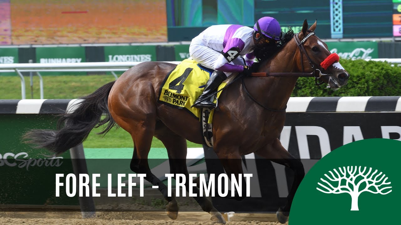 Fore Left 2019 The Tremont Stakes YouTube