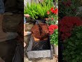 Cocopeat vs Peat Moss in 2025 🌱 | The Ultimate Soil Showdown for Healthy Plants!
