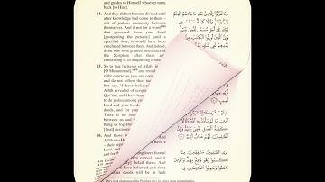 الجزء الخامس والعشرون (25) من القرآن الكريم بصوت الشيخ محمد أيوب | مترجم للغة الإنجليزية