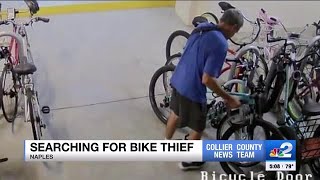 Search on for serial bike thief in Naples