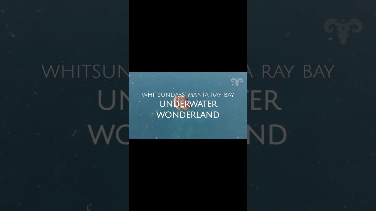 ⁣Whitsundays' Manta Ray Bay - Underwater Wonderland | Sailing ARGO