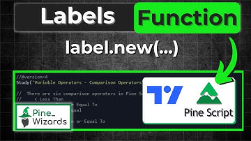 Labels Function In Pine script Lesson 20 | Pine Script Course
