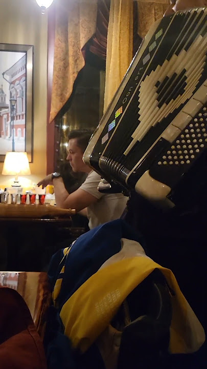 Amazing Accordion Player At Russian Restaurant 🪗