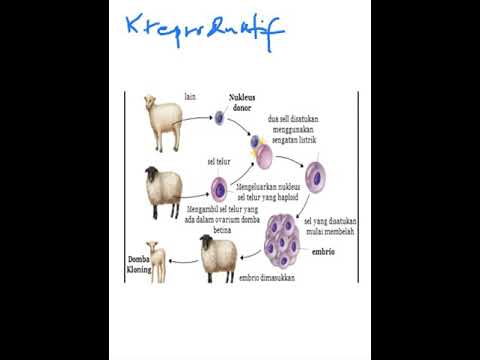 Video: Kematian Domba Dolly Tidak Terkait Dengan Masalah Kloning - Pandangan Alternatif