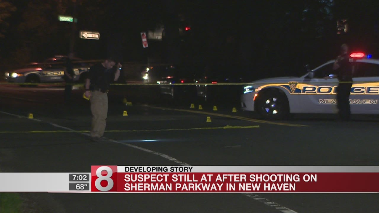 Police investigating shooting in New Haven - YouTube