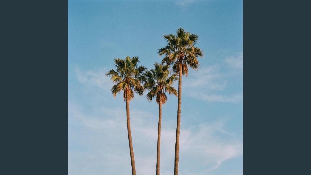 Watch palm trees on YouTube Watch palm trees on YouTube