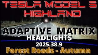 Tesla Model 3 Highland - Adaptive Headlights - Forest Road - 2025.38.9 - Autumn