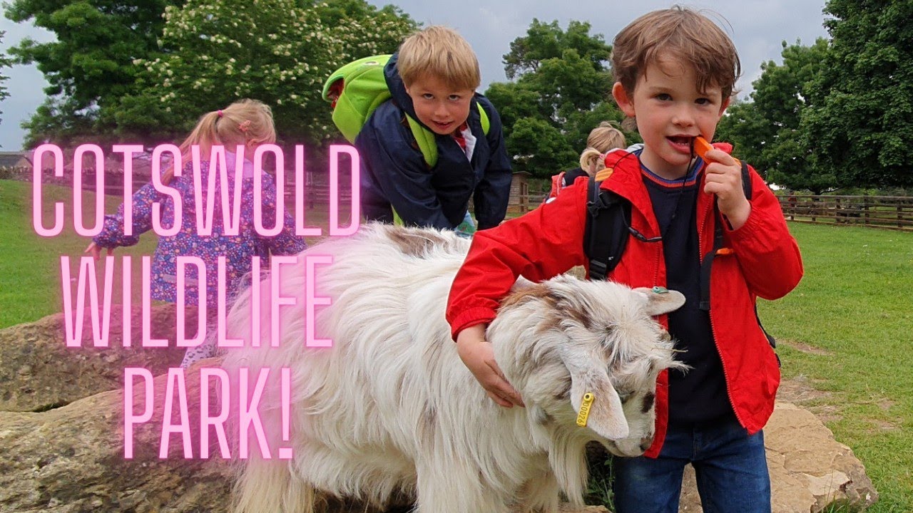 COTSWOLD WILDLIFE PARK Day trip with the kids! 🐒🦏🦒🦥🐧🦁 YouTube