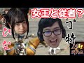 三國群英傳MでDinTerと天下統一