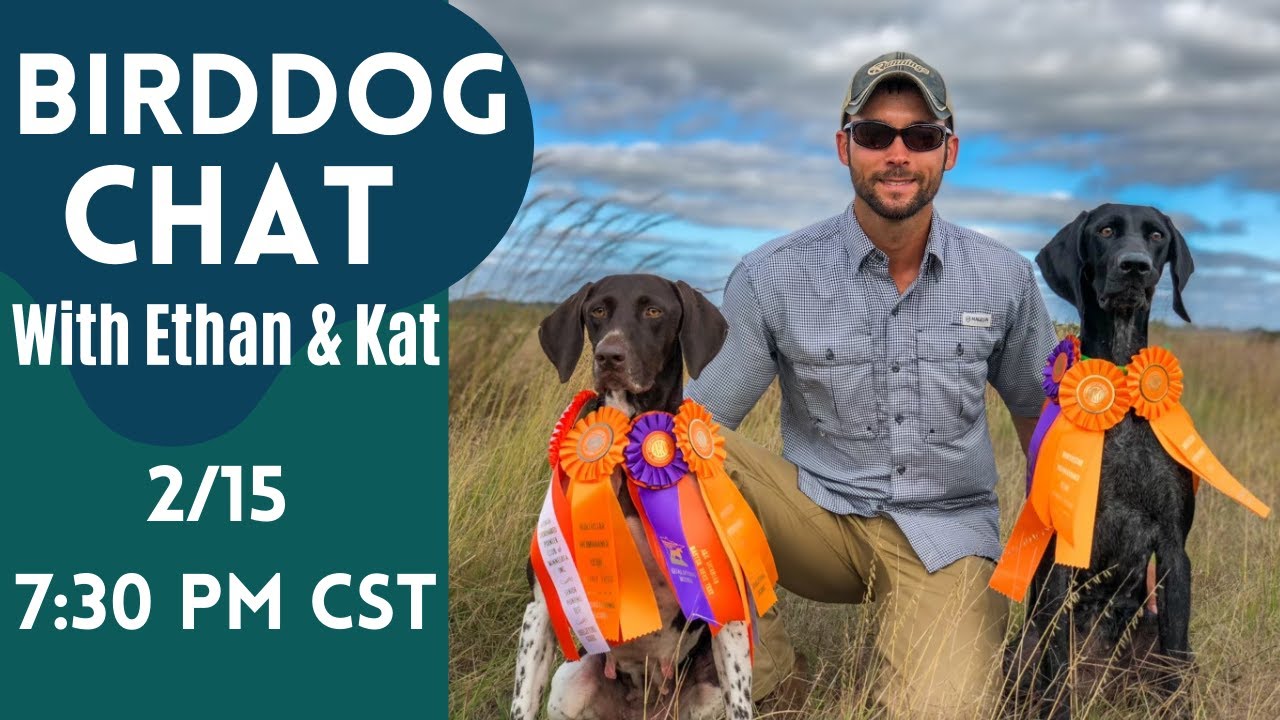 Hunt Test Talk AKC NAVHDA YouTube hunt-test-talk-akc-navhda-youtube