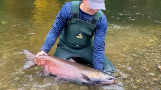 King Salmon Fishing with Eggs.  Also Coho, Torrent Sculpin and Largescale Sucker.