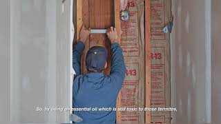 Termite heat treatment- english