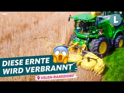 Video: Wann ist Boden ein nachwachsender Rohstoff?