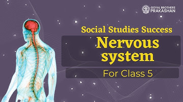 Nervous system