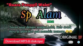 Suara panggil walet Sp Alam Original