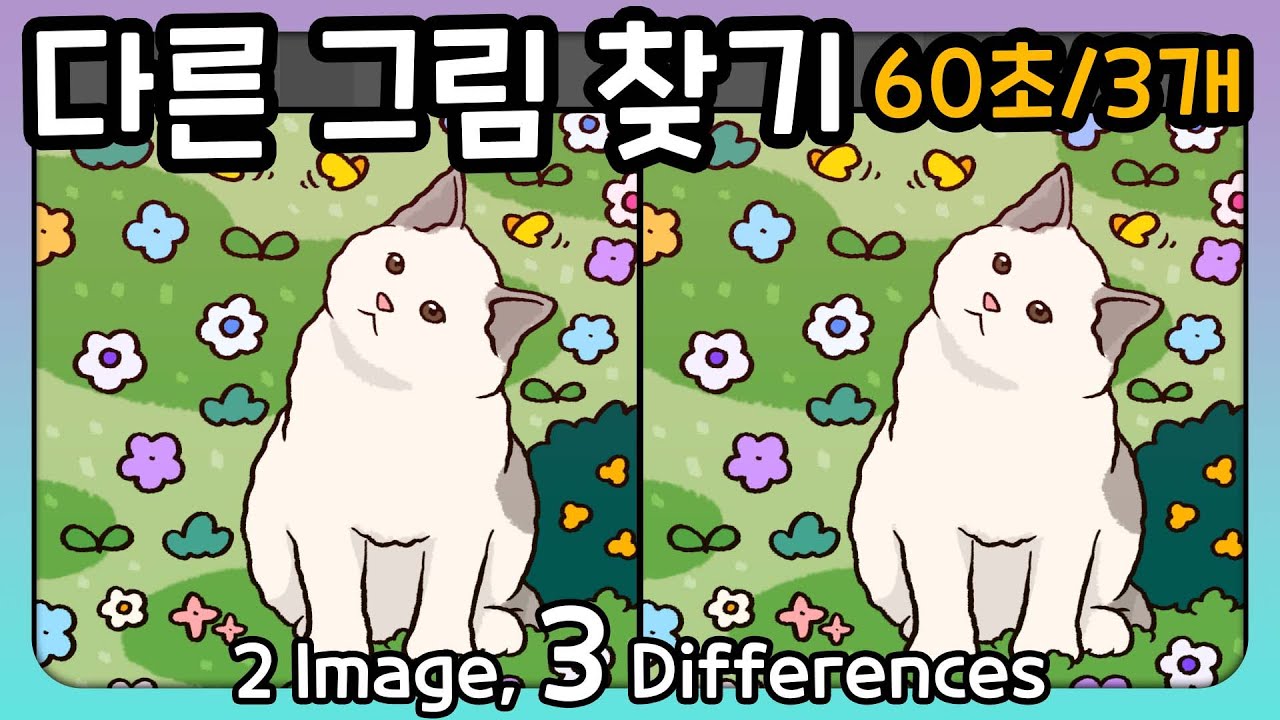 다른 그림 찾기 -60초 안에 다른 그림 3개를 찾아보세요- - YouTube
