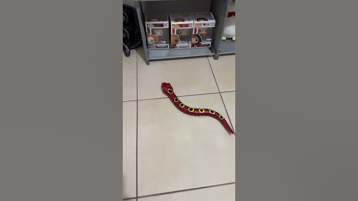 Me compré una serpiente😧  #humor