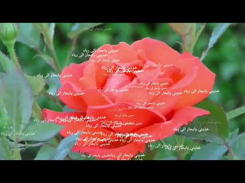 أريد الحب بقلب شريف خذيه يابحار الى رباه