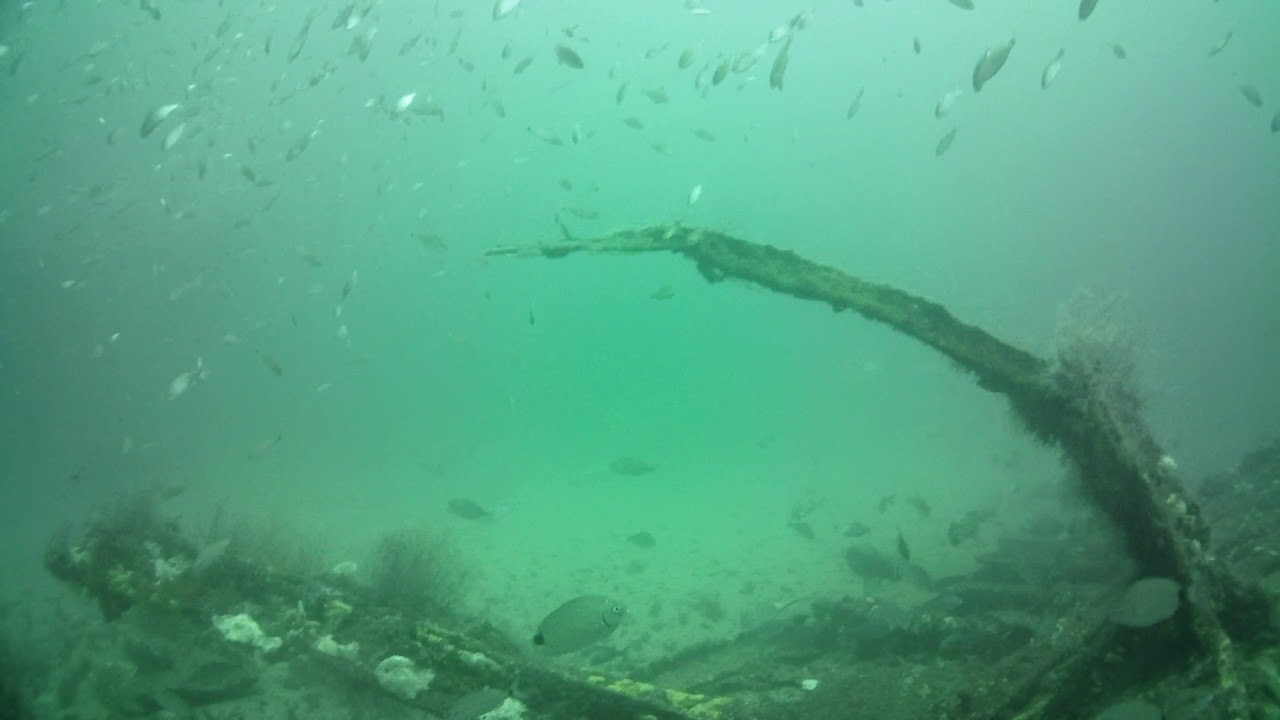 Jacksonville Fl Offshore Fishing Underwater Video of 9Mile Reef Part 3 YouTube