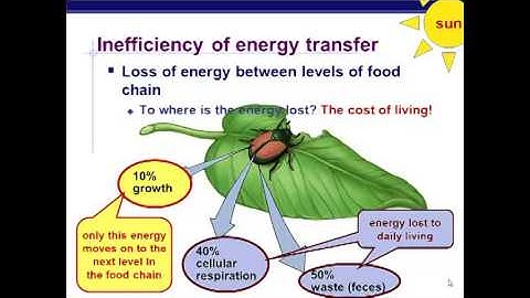 Ecology - Ecosystem Dynamics