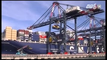 VTC14_Cái Mép - Thị Vải sẽ thành cảng trung chuyển hàng hóa tầm cỡ quốc tế