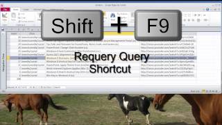 Access - Requery a Query Shortcut (cc)
