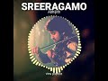 Sreeragamo Abhijith( violin cover)