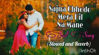 Sajna Chhodo Mera Dil Na Mane (Slowed and Reverb)Song Mitun-Ayesha  ||Udit Narayan Song||