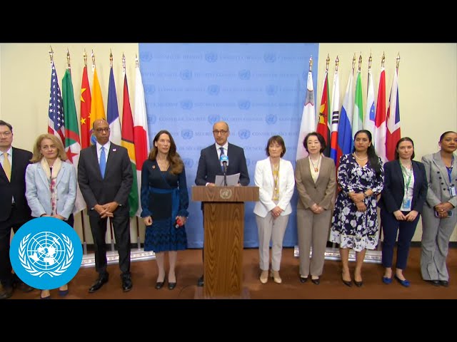 Ecuador, France, & Others on Sexual Violence and Conflict Prevention | UN Security Council