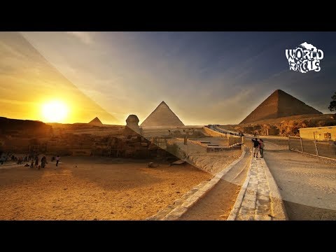 Video: Cum Tratau Egiptenii Pisicile
