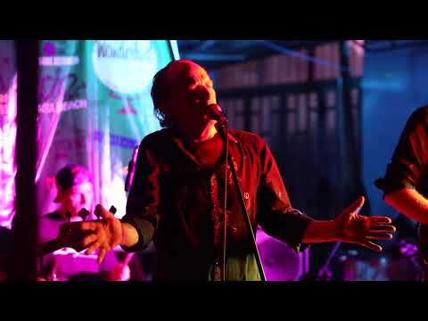 The Thrill is Gone - BB King Cover By The Steins