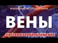 ВЕНЫ (СОСУДЫ) КВАНТОВОЕ ИСЦЕЛЕНИЕ ВЕН ЗВУКОМ🎧ЧАСТОТЫ Д-РА РАЙФА и ШМИДТА, Гц